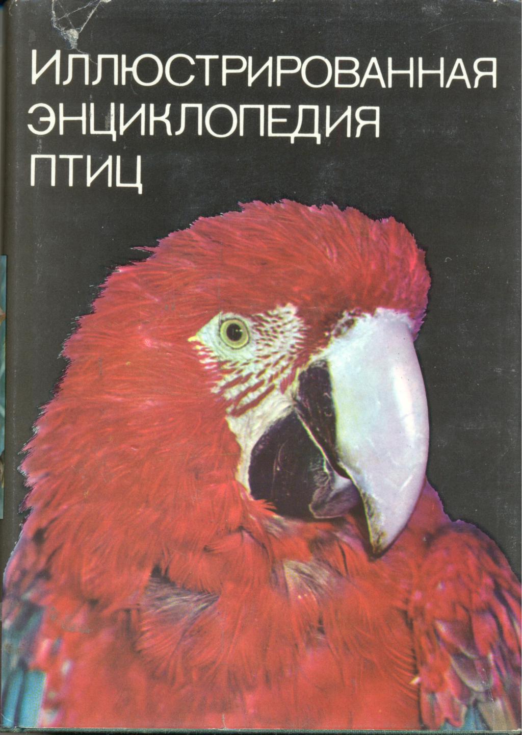 Иллюстрированная энцеклопедия птиц